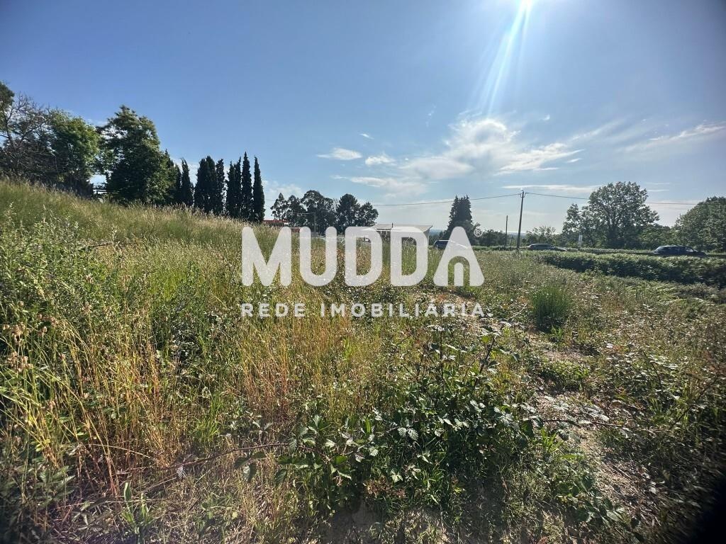 Land for sale in Oliveira de Azeméis, Portugal — €197,000