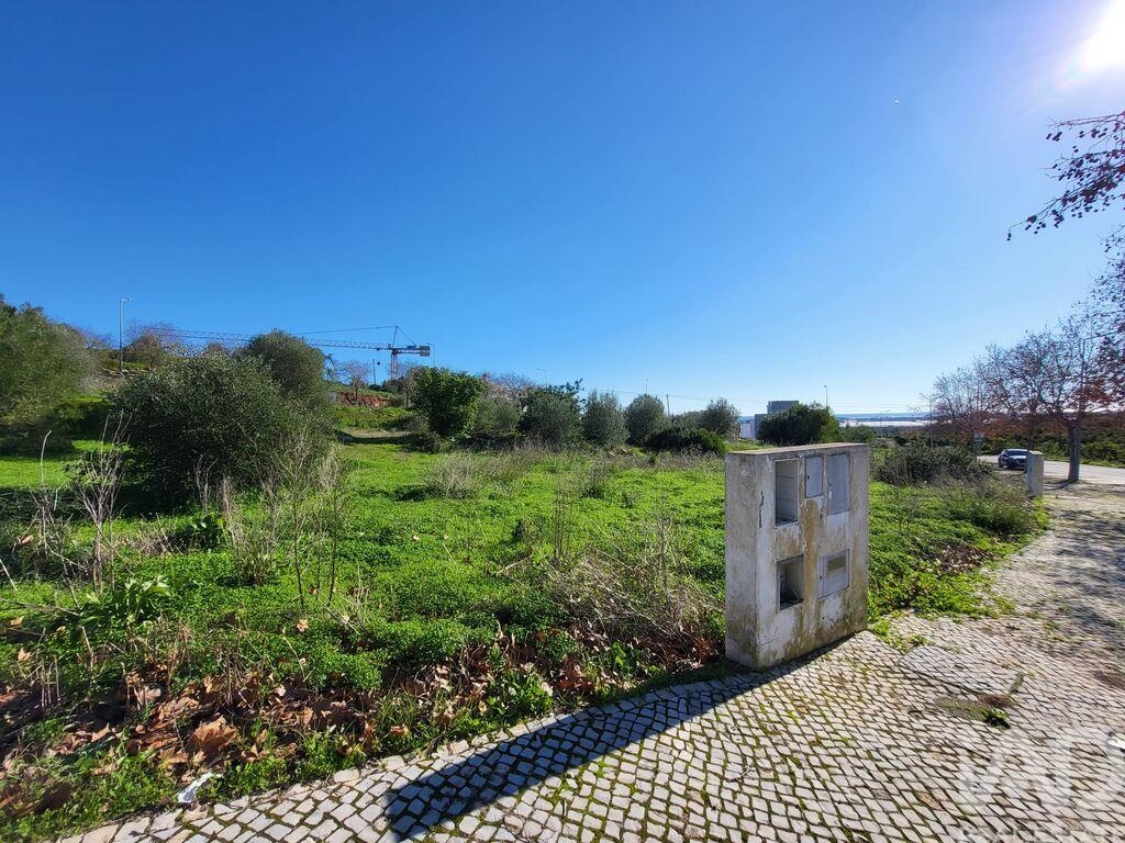 Land in Santo Estevao - Image 2