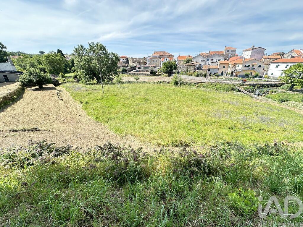 Land in Vila Cortes da Serra - Image 3