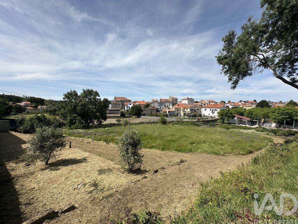 Land in Vila Cortes da Serra - Image 2