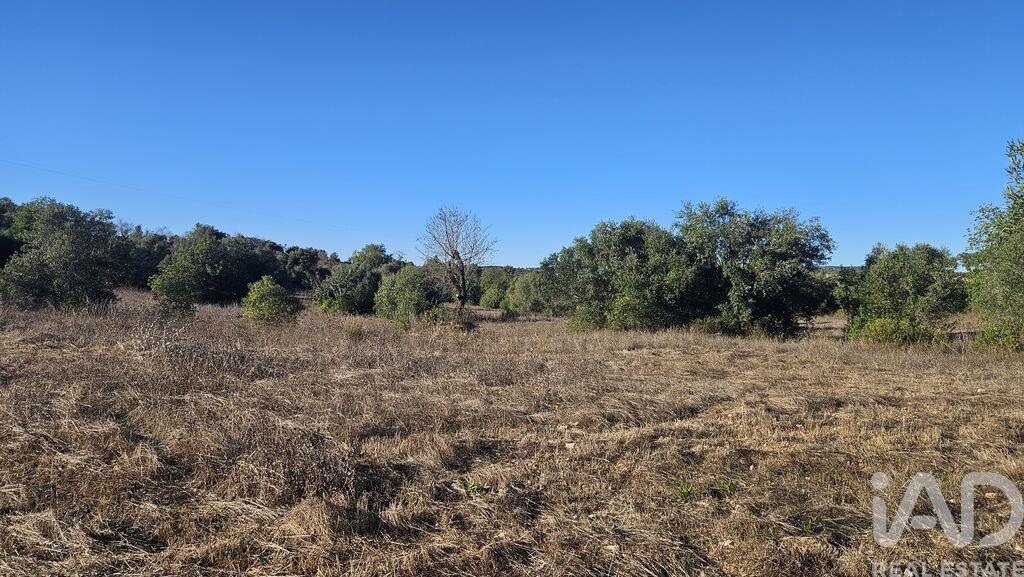 Land in Santa Barbara de Nexe - Image 3
