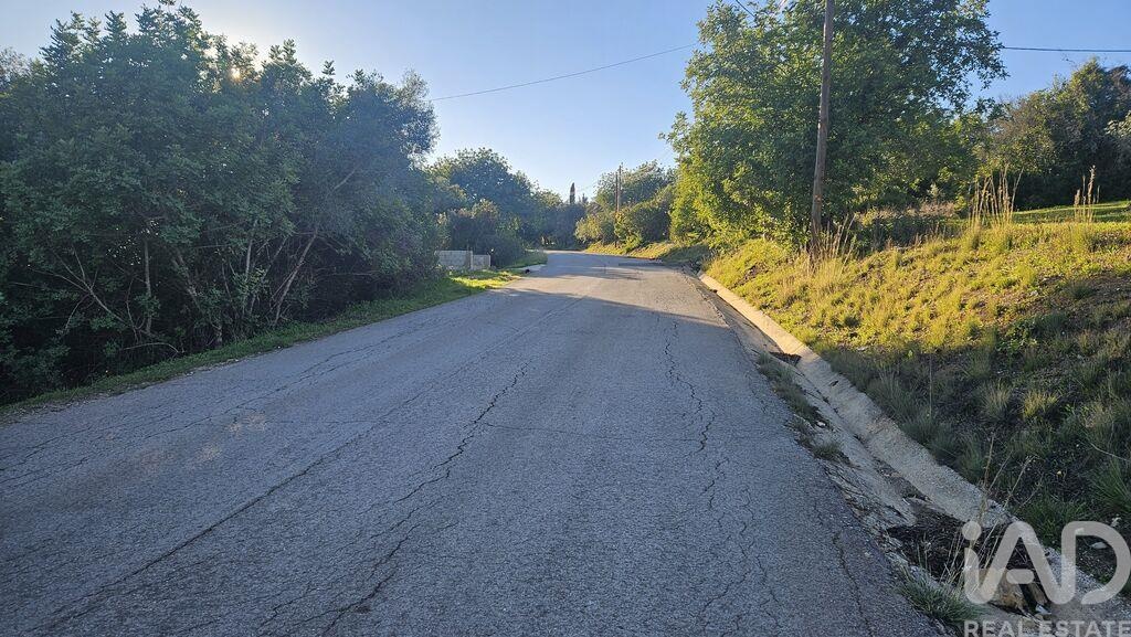 Land in Santa Barbara de Nexe - Image 3