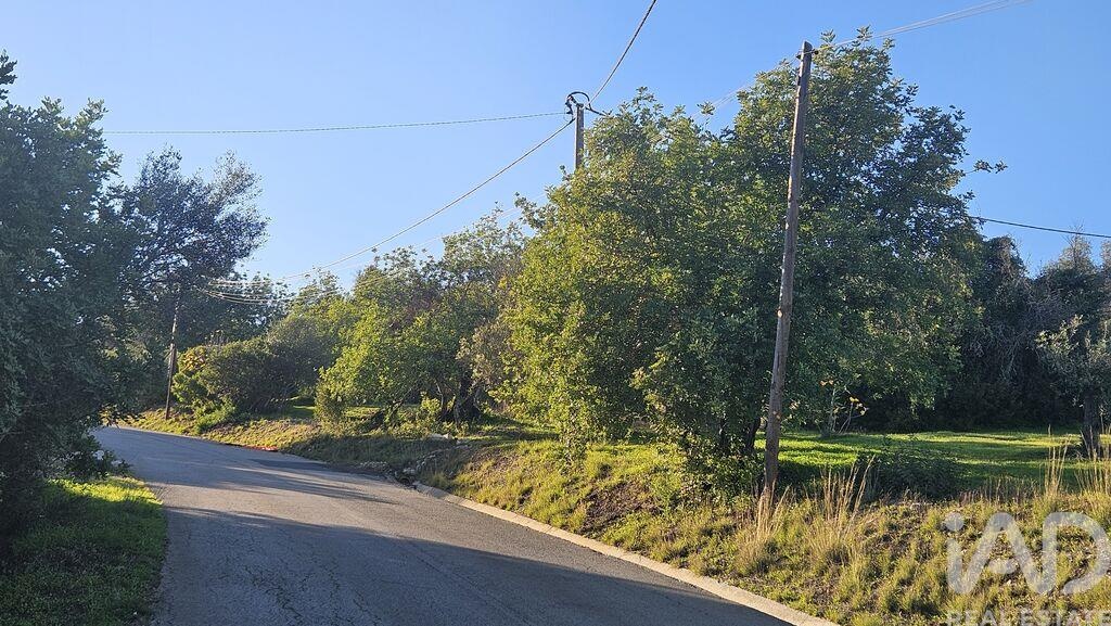 Land in Santa Barbara de Nexe - Image 4