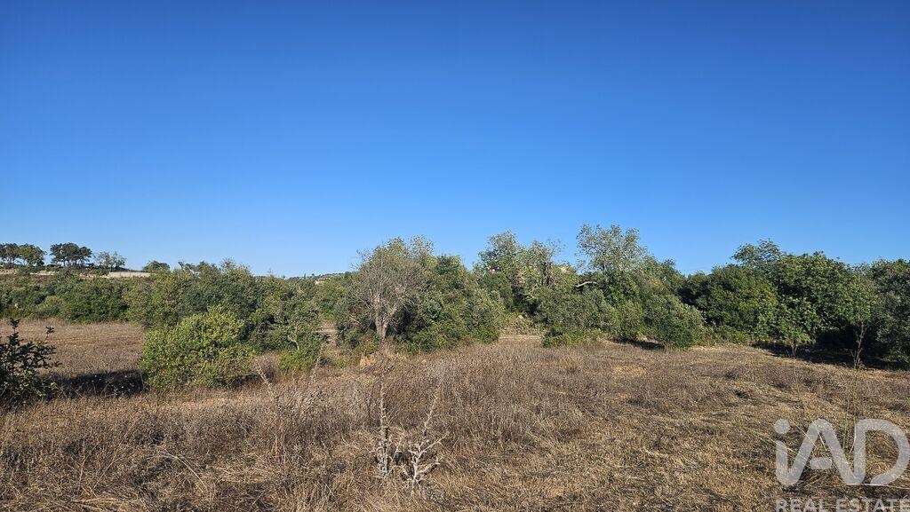 Land in Santa Barbara de Nexe - Image 5