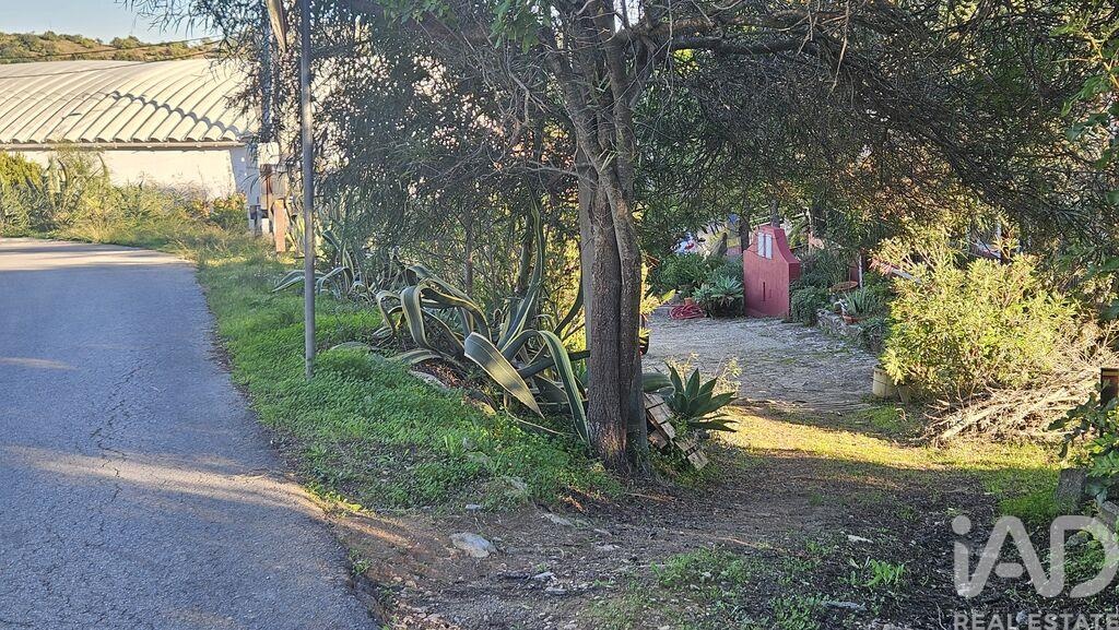 Land in Santa Barbara de Nexe - Image 5