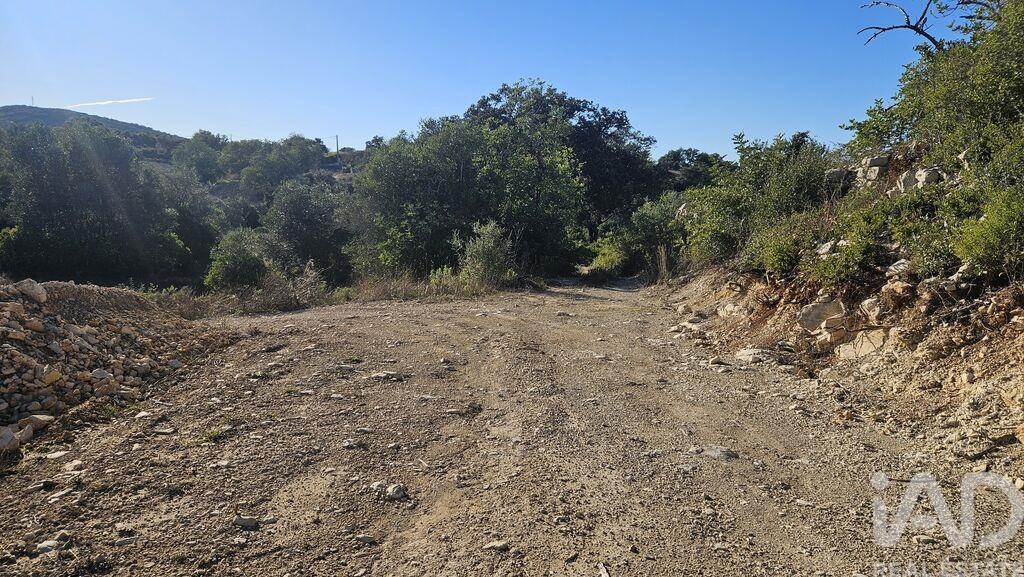Land in Santa Barbara de Nexe - Image 2