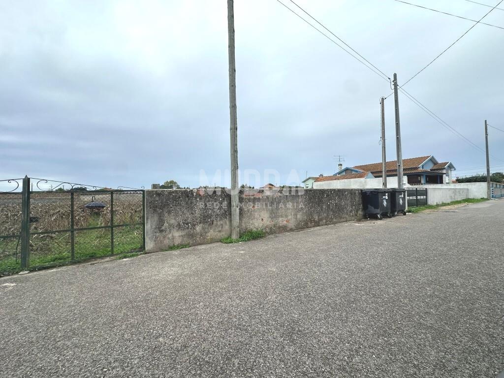 Terreno rústico com viabilidade para construção, Veiros, Estarreja