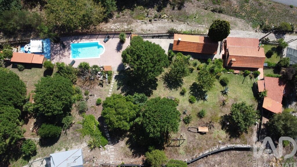 Farm, Ranch or Equestrian in Sever do Vouga - Image 2