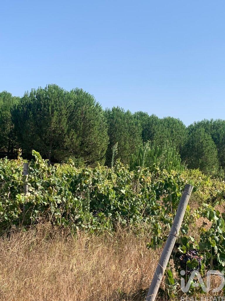 Land in Poceirao - view 1