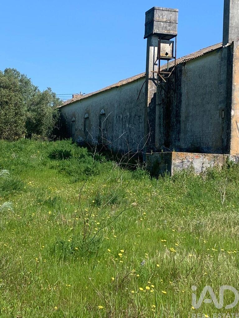 Land in Palmela - Image 5