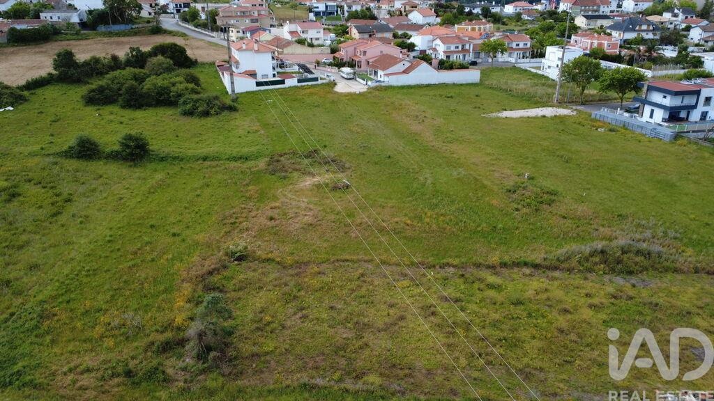 Land in Marrazes - Image 4