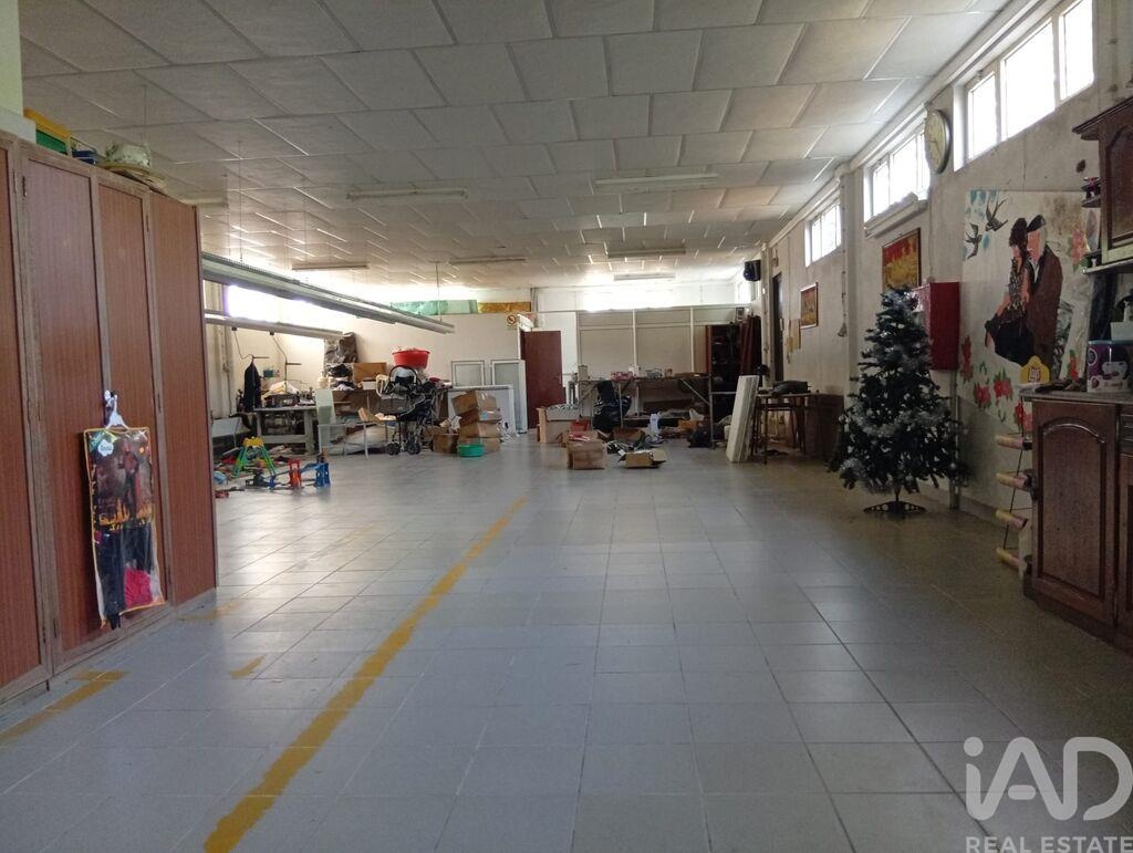 Land in Ucha - view 1