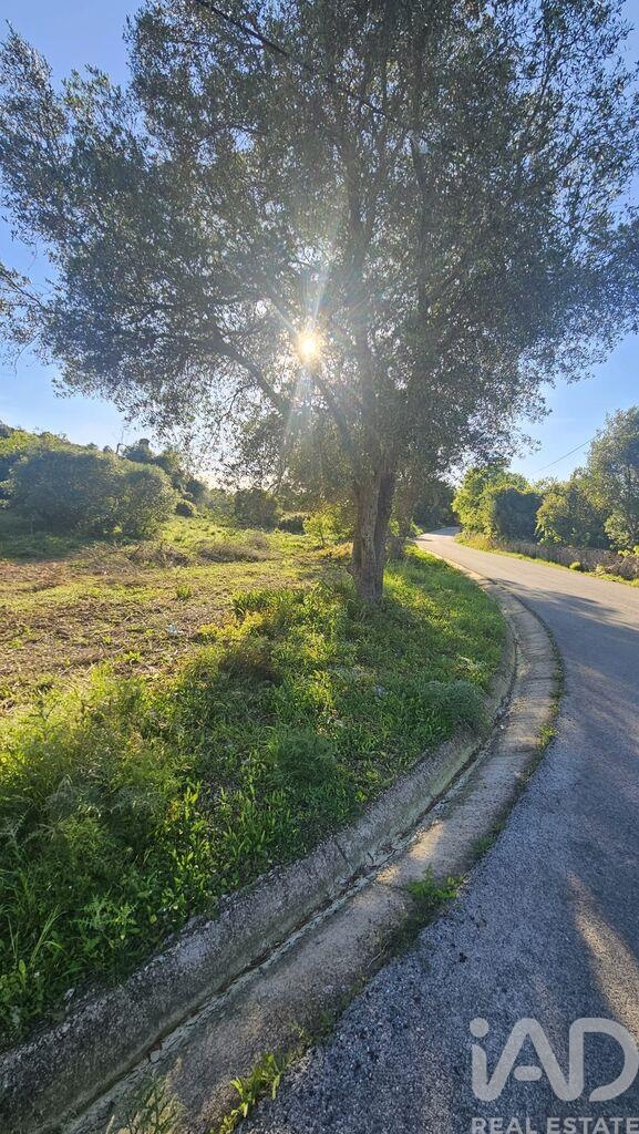 Land in Loule (Sao Clemente) - Image 2