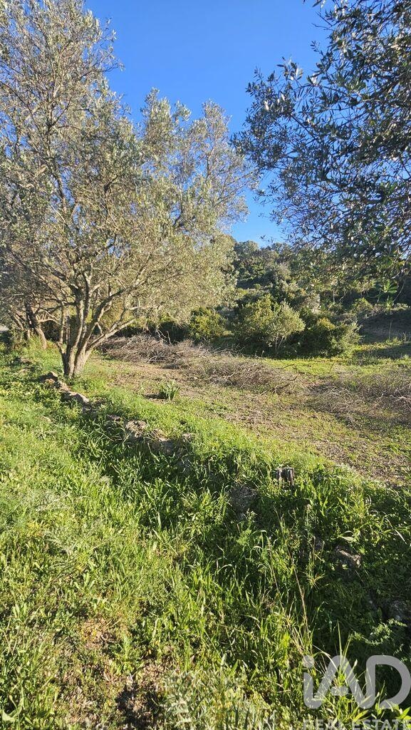 Land in Loule (Sao Clemente) - Image 4