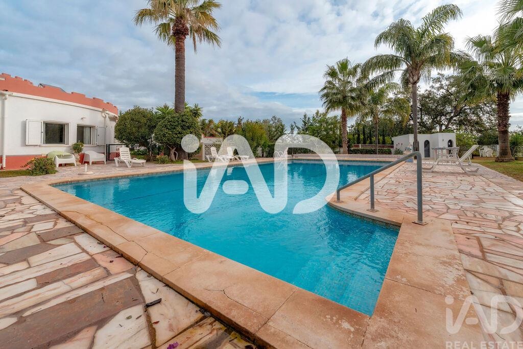 Apartment in Quarteira - Image 3