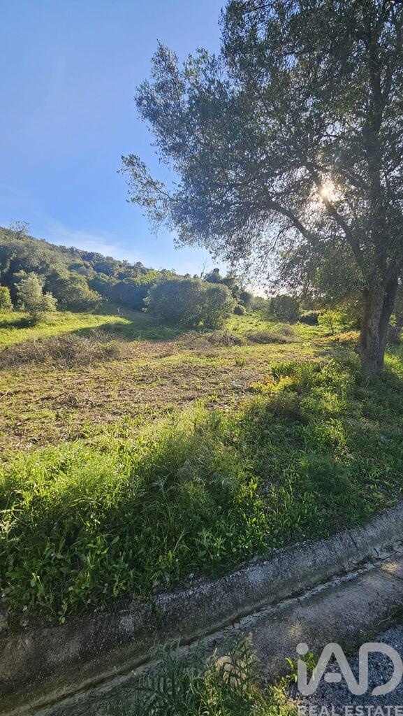 Land in Loule (Sao Clemente) - view 1