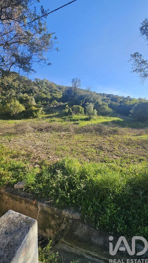 Land in Loule (Sao Clemente) - Image 5