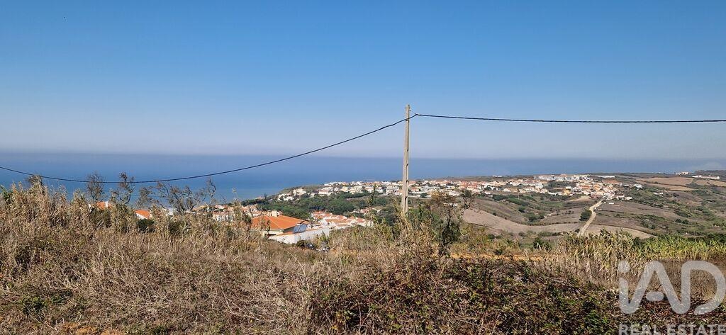Land in Santo Isidoro - Image 5