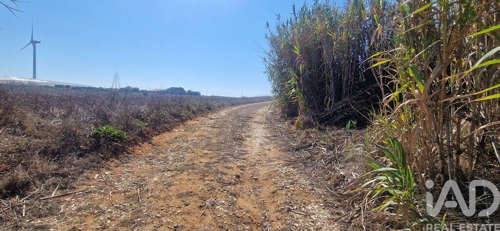 Land in Santo Isidoro - Image 2