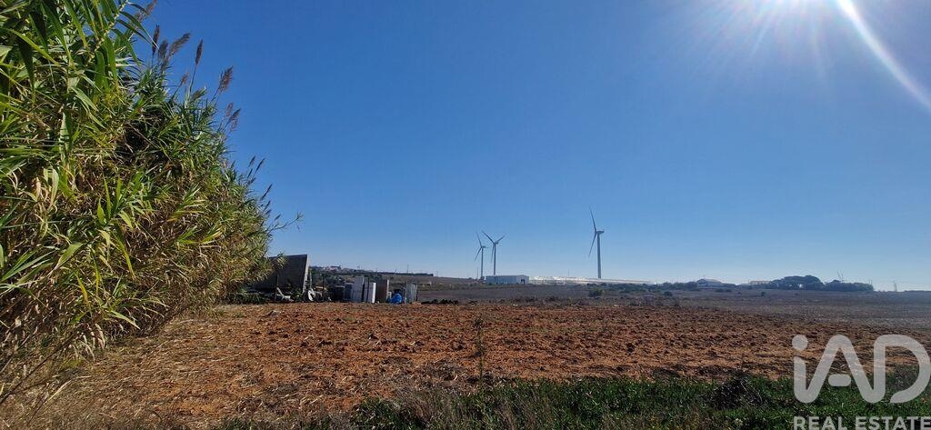 Land in Santo Isidoro - Image 4