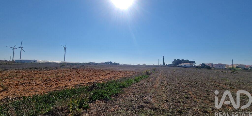 Land in Santo Isidoro - Image 3
