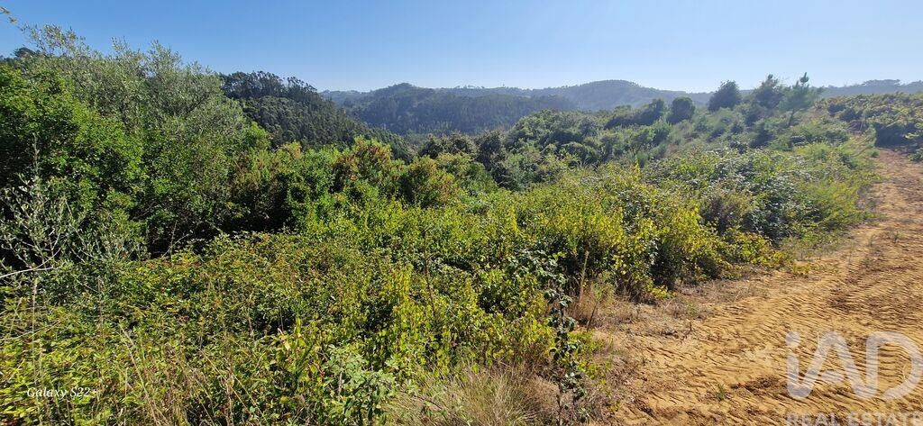 Land in Azueira - Image 4