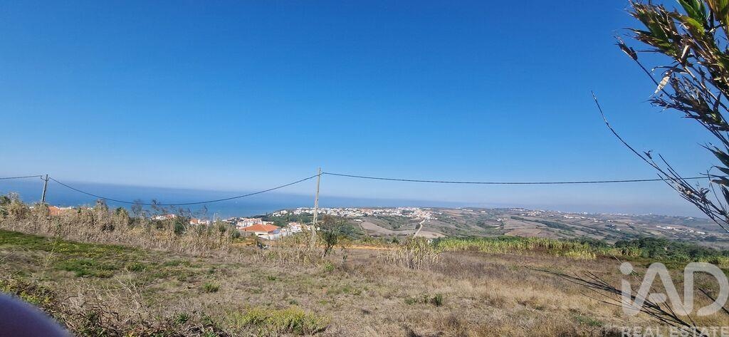 Land in Santo Isidoro - view 1