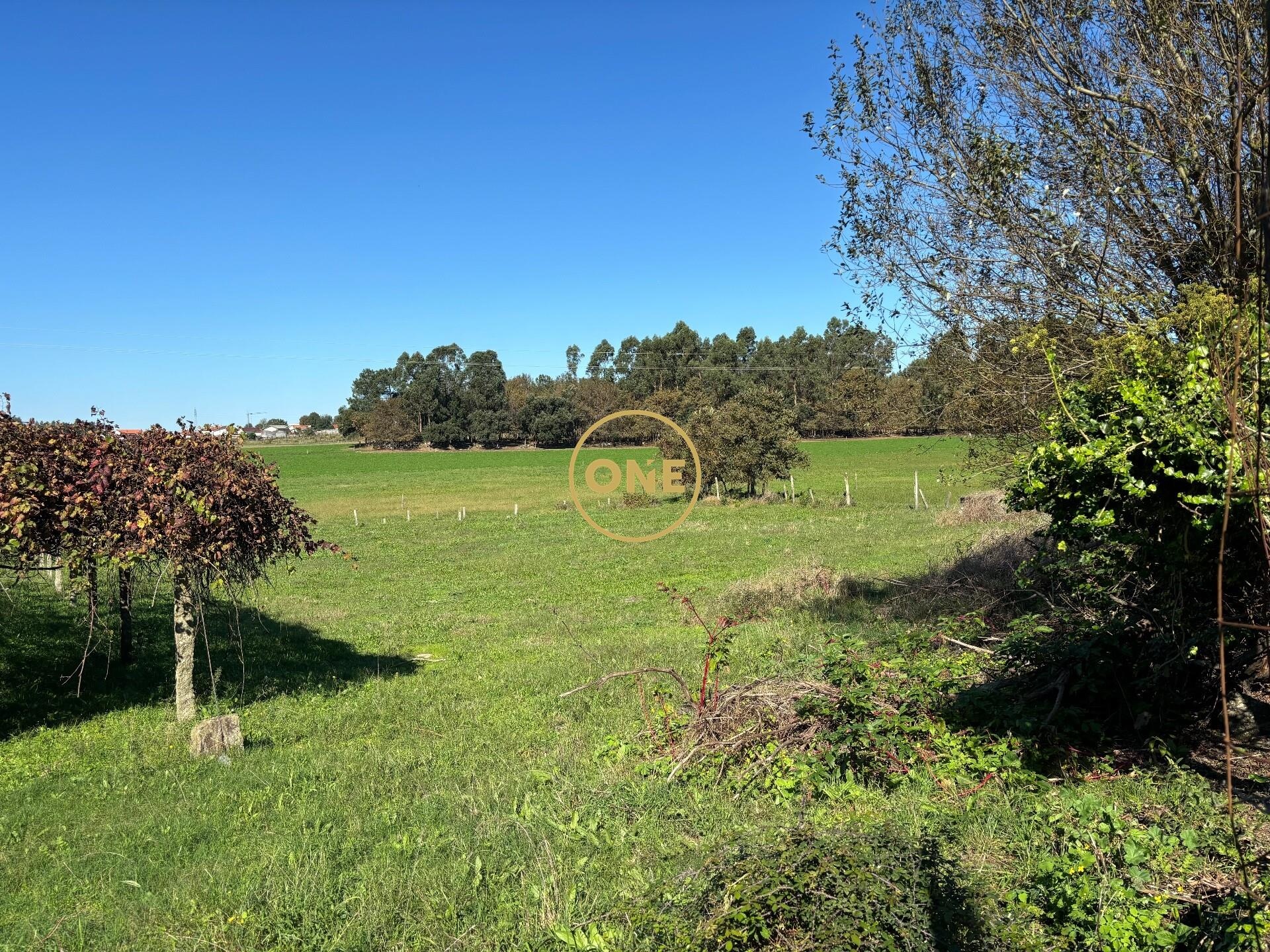 Land for sale in Vila Nova de Famalicão, Portugal — €109,000