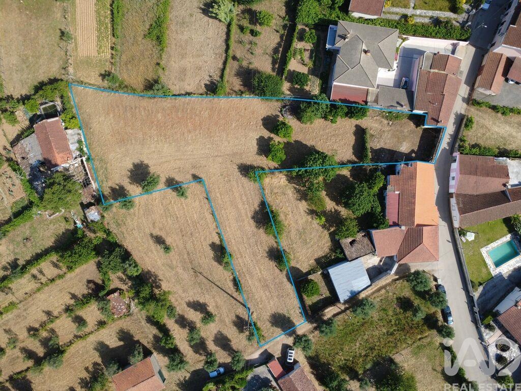 Land in Vila Nova de Poiares - view 1
