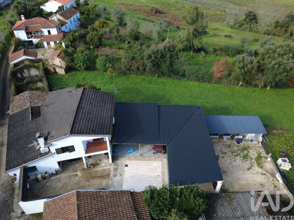 House in Vila Nova de Poiares - Image 5