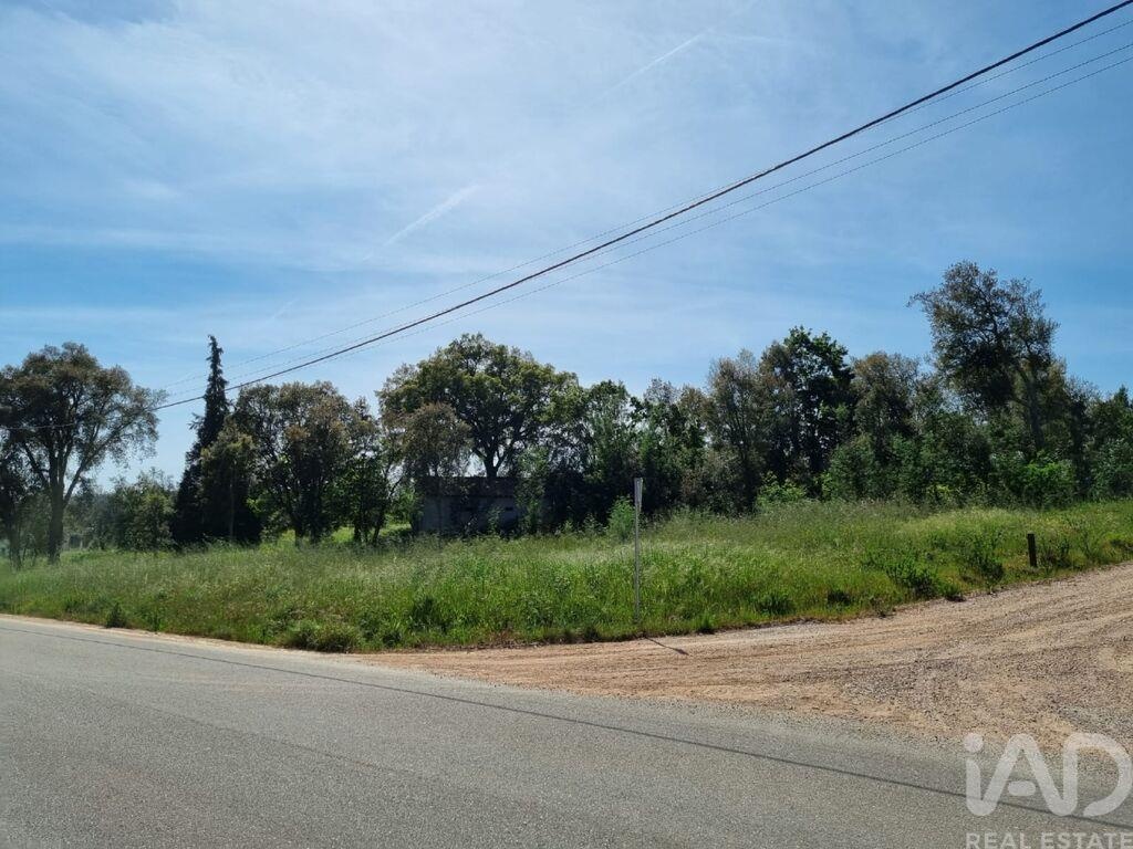 Land in Vila Nova de Poiares - view 1