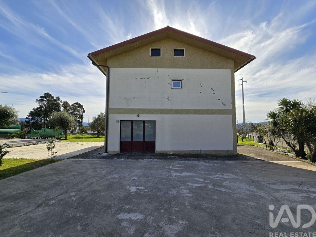 House in Sao Miguel de Poiares - Image 4