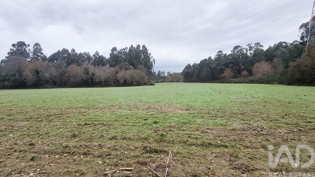 Land in Cornes - view 1