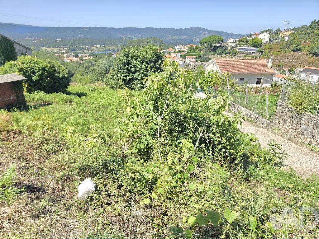 Land in Loivo - Image 3