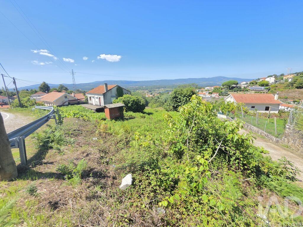Land in Loivo - Image 4