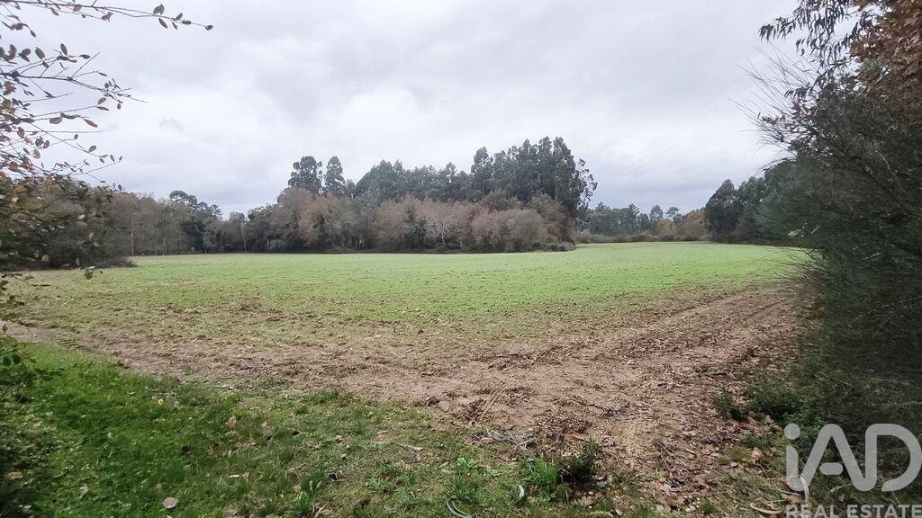 Land in Cornes - Image 4