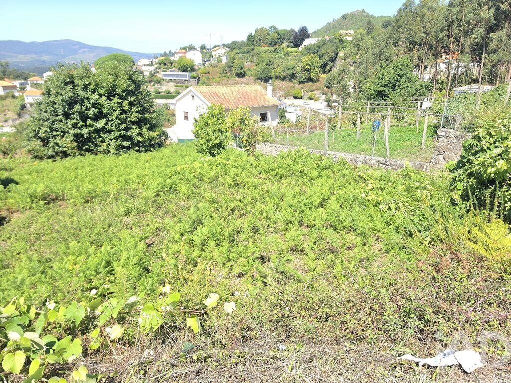 Land in Loivo - Image 2
