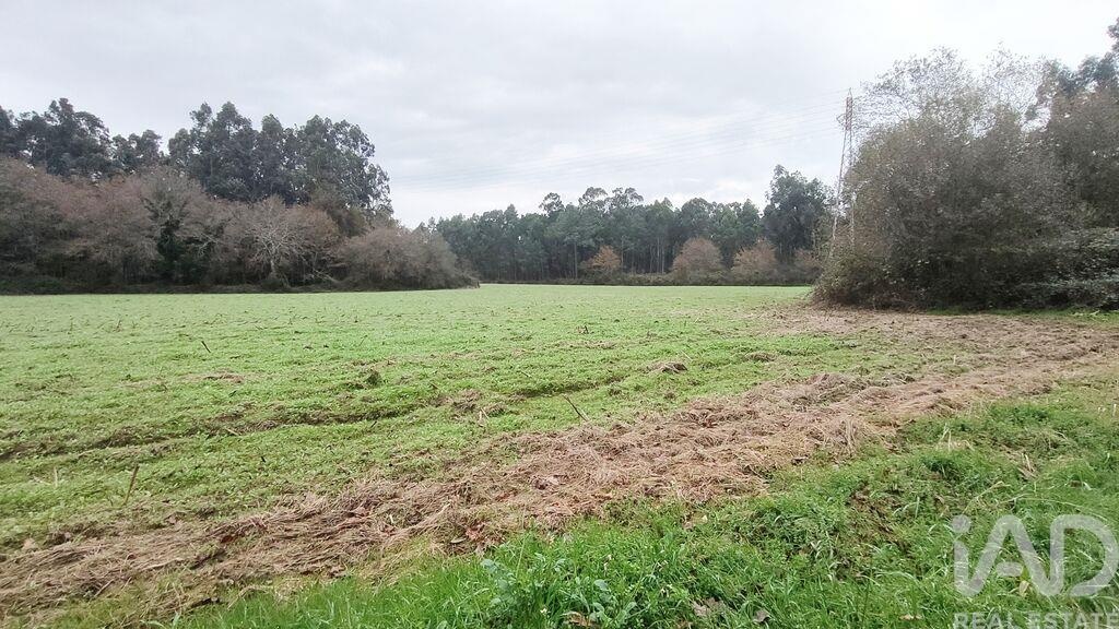 Land in Cornes - Image 3