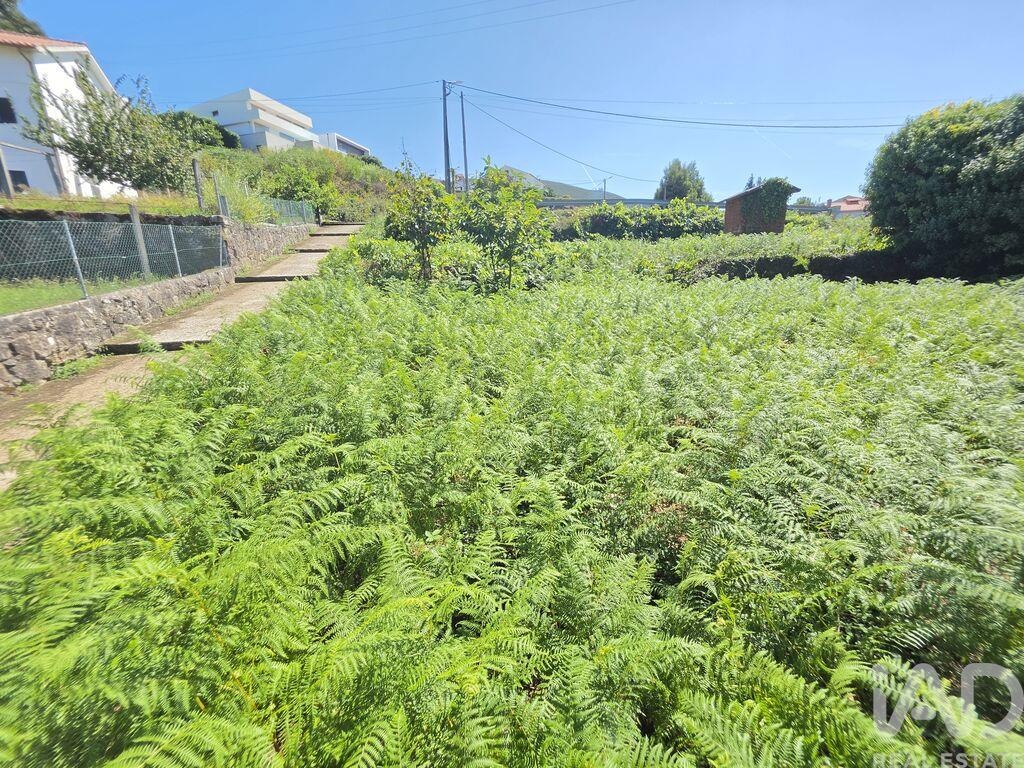 Land in Loivo - Image 5