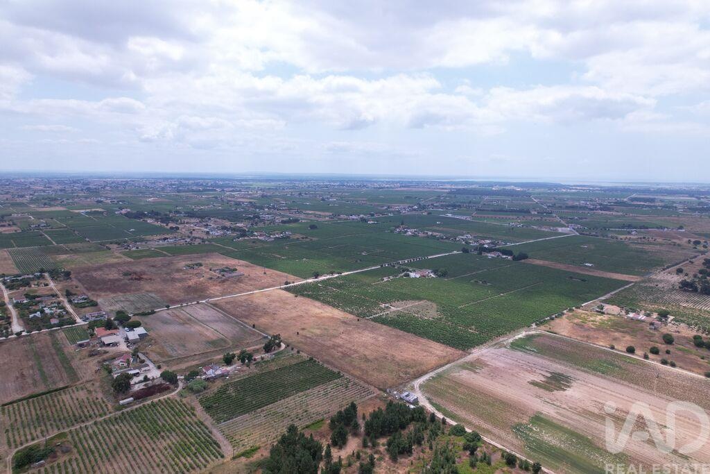 Land in Palmela - view 1