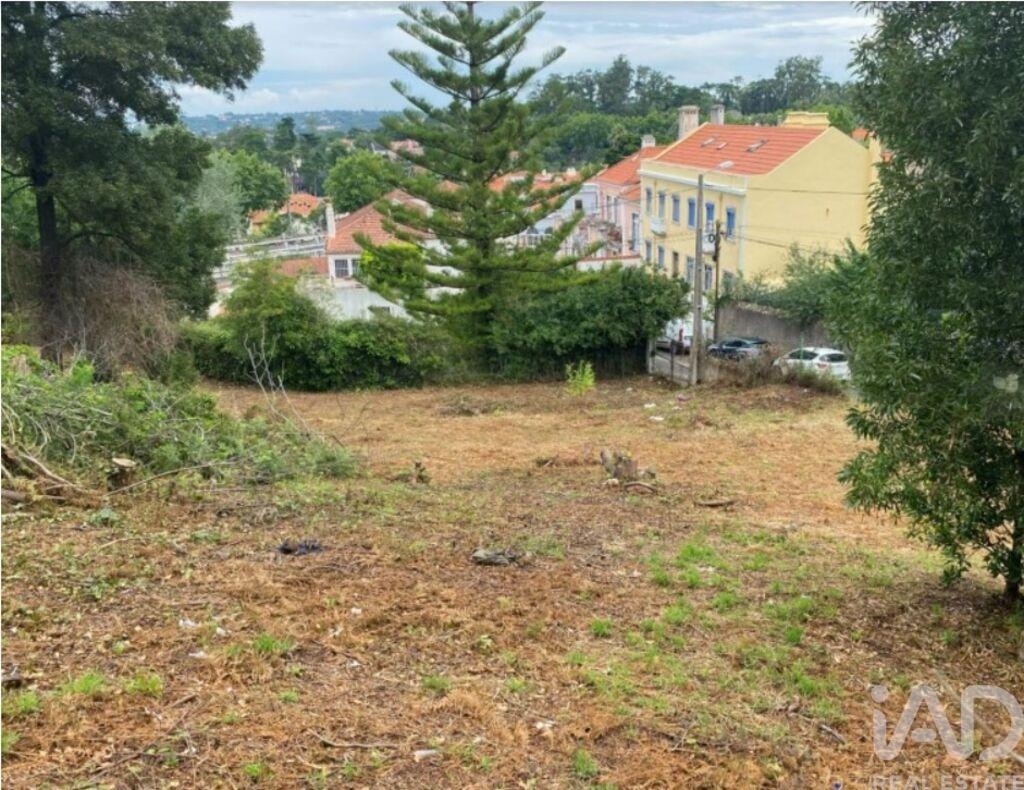 Land in Sao Pedro - Image 2