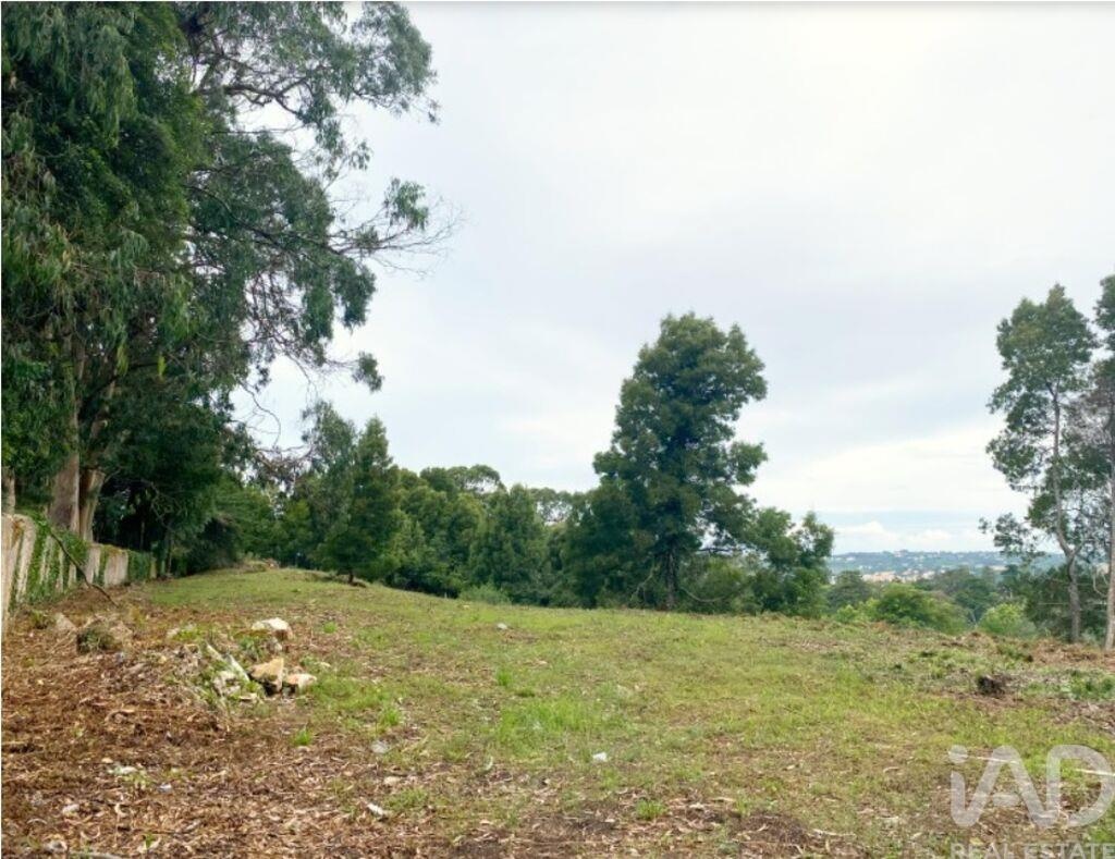 Land in Sao Pedro - Image 3