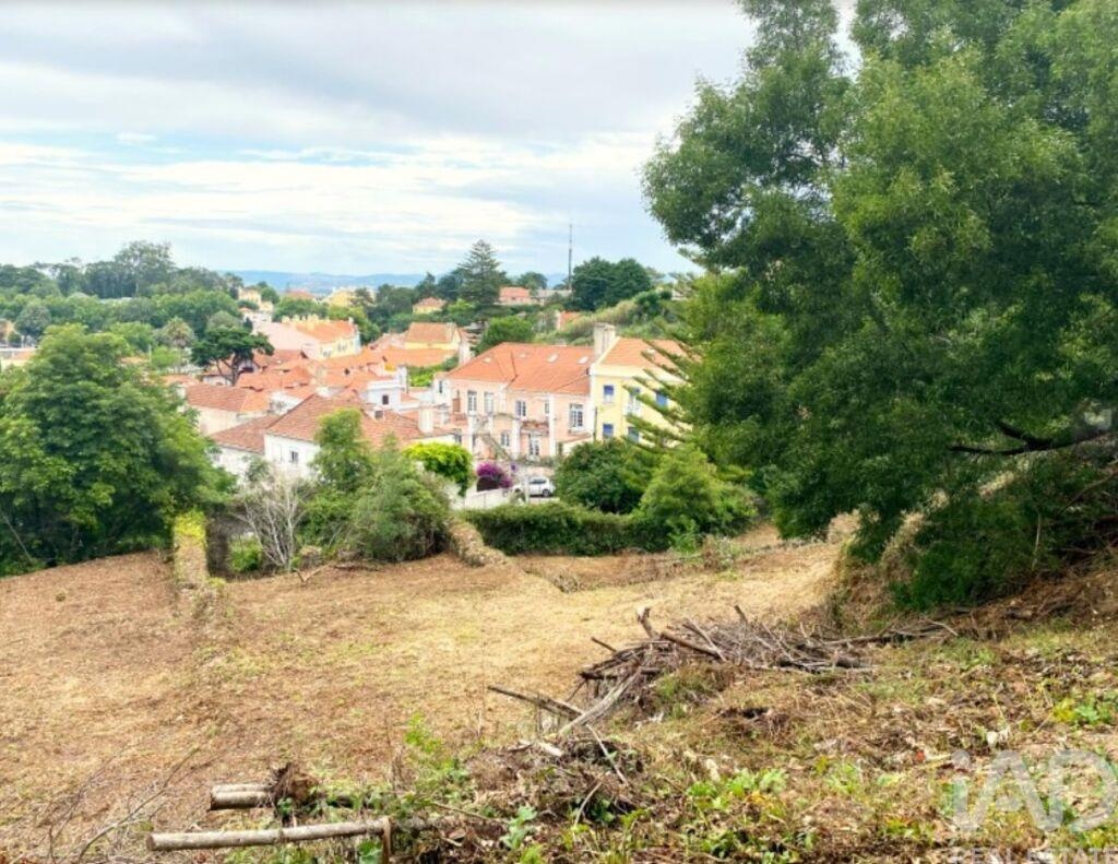 Land in Sao Pedro - view 1