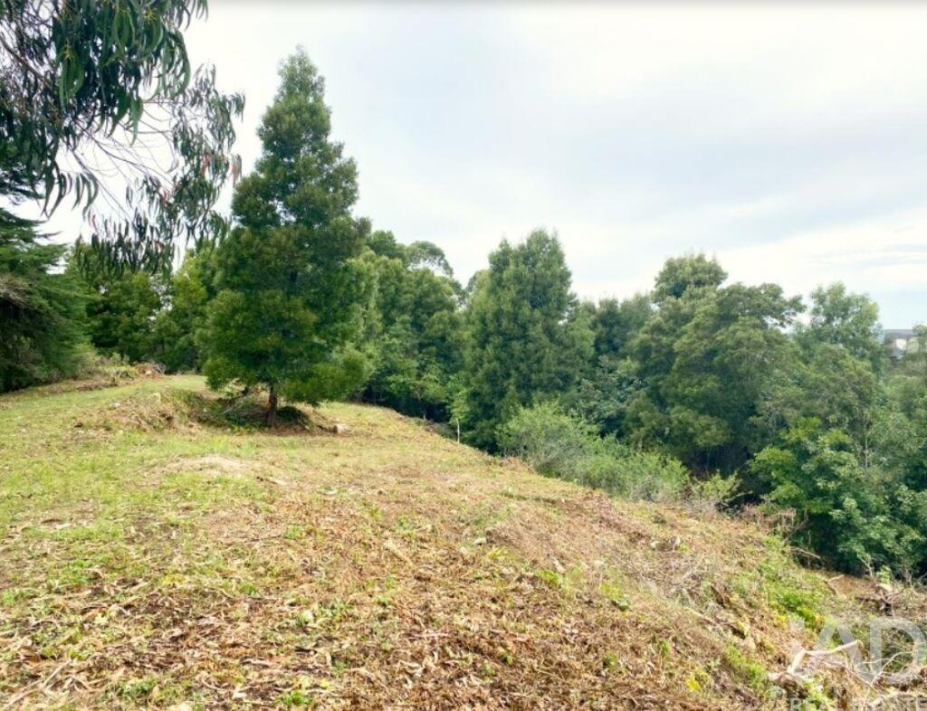 Land in Sao Pedro - Image 5