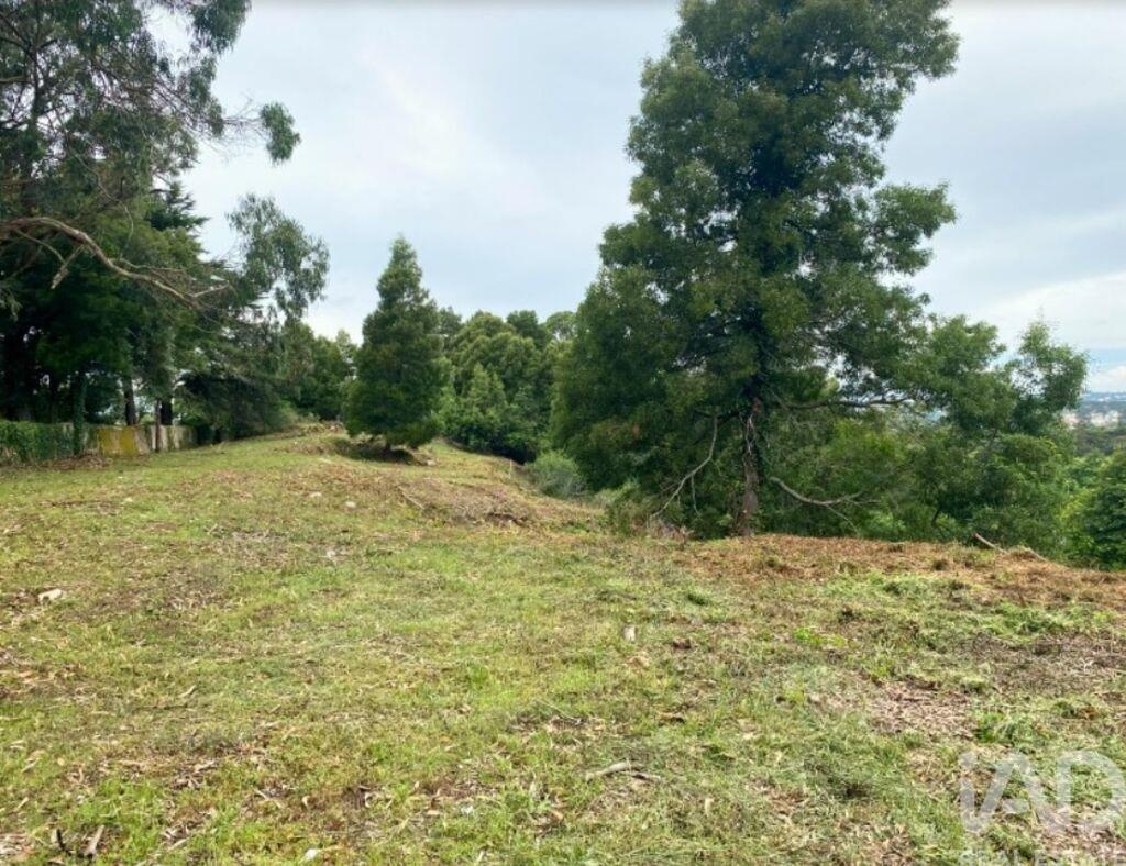 Land in Sao Pedro - Image 4