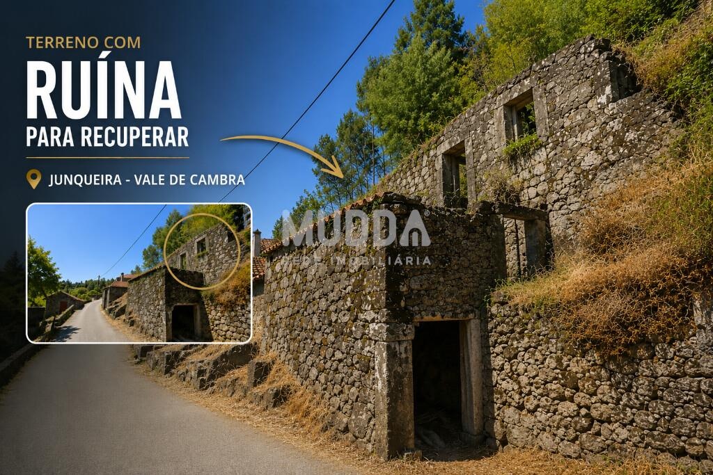 Moradia em Ruína com 411m² de Terreno – Junqueira - Vale de Cambra