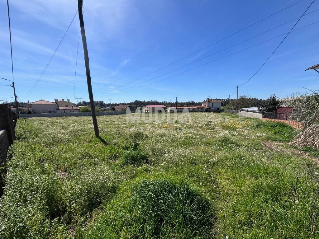 Lote em Loureiro – Dimensões 792 m² | Oportunidade Única