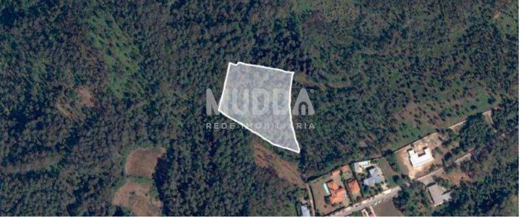 Terreno Rústico de 11.264 m² e Pinhal em Época de Corte – Macieira de Sarnes