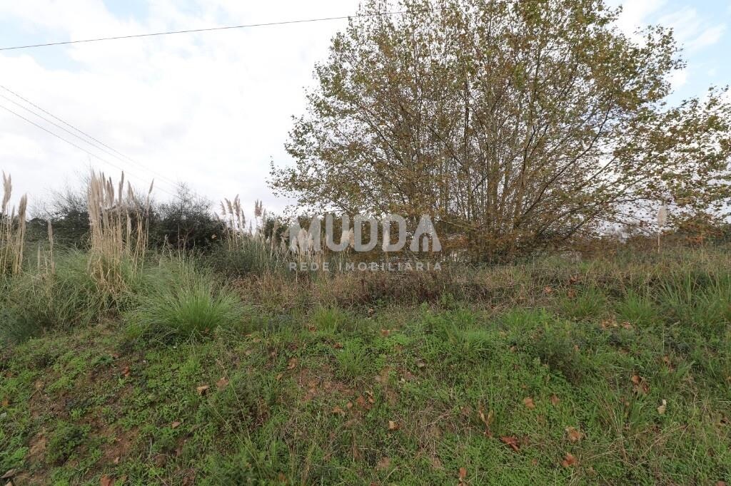 Terreno para construção em nogueira da regedoura