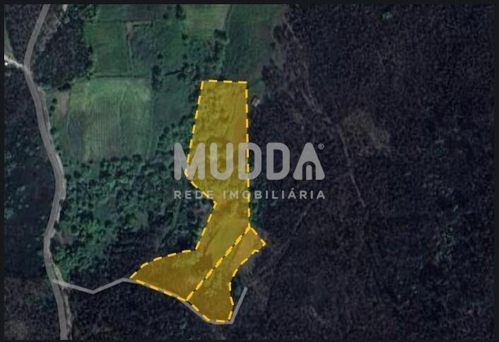 Terreno de cultura, mato e pinhal.